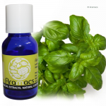 Basil oil