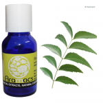 Neem oil