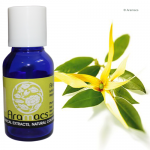 Ylang Ylang oil