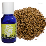 Caraway Oil