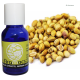 coriander oil