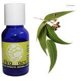 Eucalyptus oil