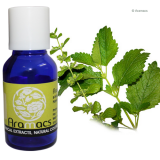 Lemon Balm Oil