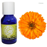 Tagetes oil