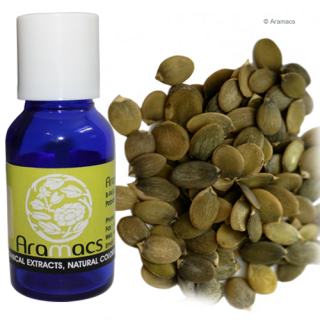 Pumpkin seed oil