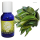 Betel leaf oil