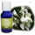 Ginger Lily oil